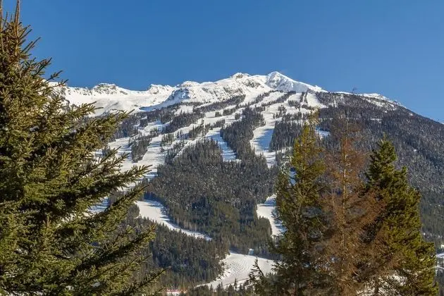 Ev, Birden Çok Yatak (#3354 Peak Drive)