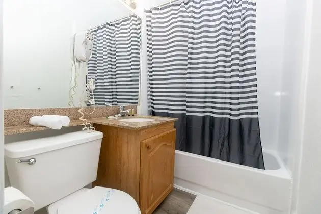 Apart Daire (1 Bedroom)