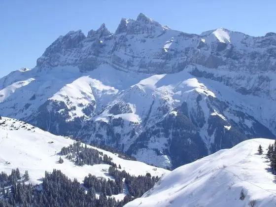 Apart Daire, 2 Yatak Odası, Şömine