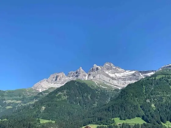 Apart Daire, 2 Yatak Odası, Şömine