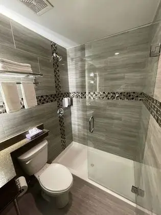Deluxe Tek Kişilik Oda, 1 Yatak Odası