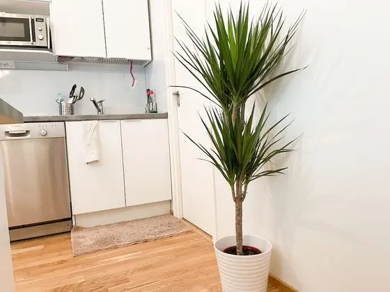 Apart Daire, 3 Tek Kişilik Yatak