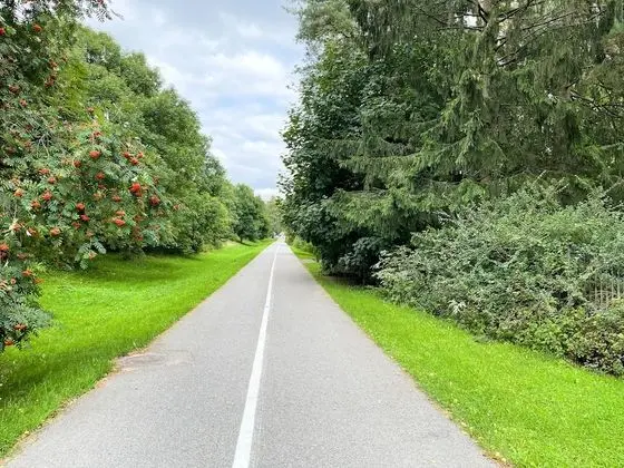 Apart Daire, 3 Tek Kişilik Yatak