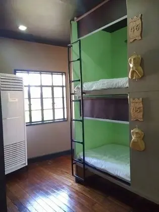 Bunk Bed in Mixed Dormitory