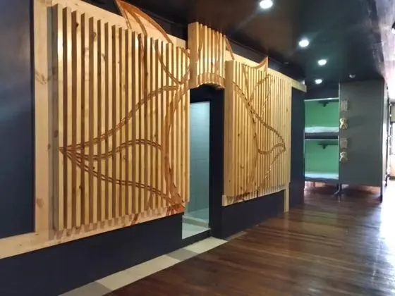 Bunk Bed in Mixed Dormitory