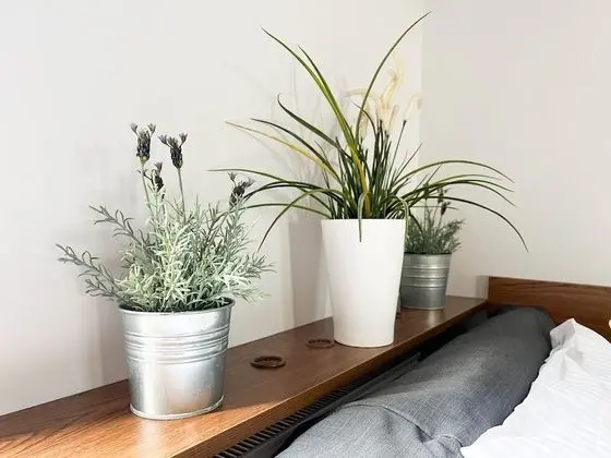 Comfort Apart Daire, 1 Yatak Odası