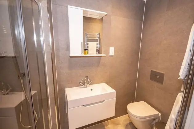 Apart Daire, Özel Banyo, Şehir Manzaralı (Westminster)