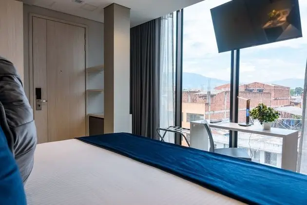 Superior Tek Büyük Yataklı Oda, Şehir Manzaralı