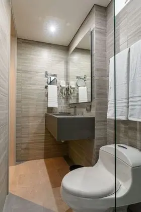 Superior Tek Büyük Yataklı Oda, Şehir Manzaralı