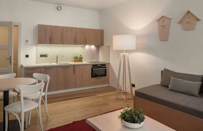 One Bedroom Apartment Twig