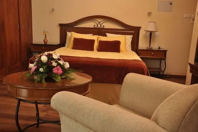 Deluxe Tek Büyük Yataklı Oda, 1 Çift Kişilik Yatak, Balkon, Havuz Manzaralı