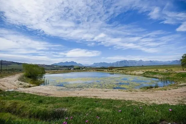 Luxury Ev, 4 Yatak Odası