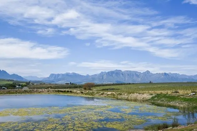 Luxury Ev, 4 Yatak Odası
