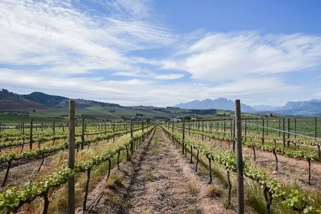 Luxury Ev, 4 Yatak Odası