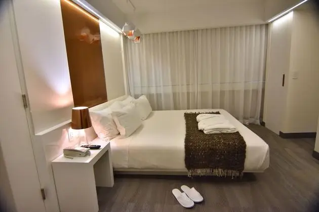Superior Tek Kişilik Oda, 1 En Büyük (King) Boy Yatak