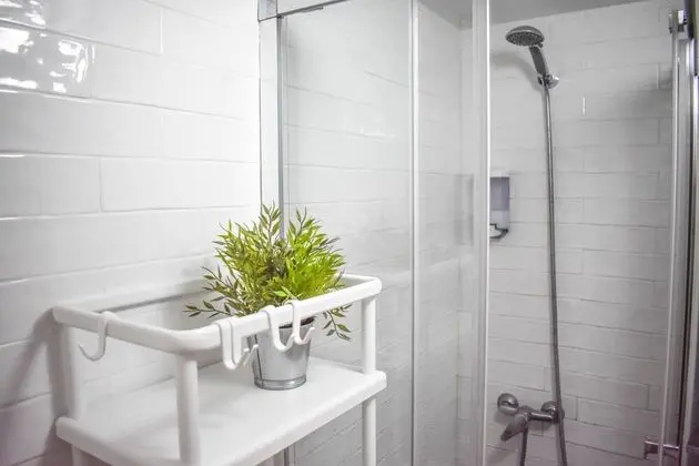 Business Tek Büyük Yataklı Oda, 1 Büyük (Queen) Boy Yatak, Ortak Banyo