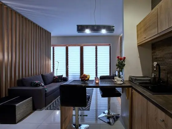 Comfort Stüdyo Süit, 1 Çift Kişilik Yatak ve Çekyat, Sigara İçilmez
