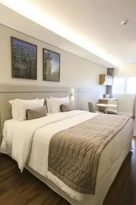 Superior Tek Büyük Yataklı Oda