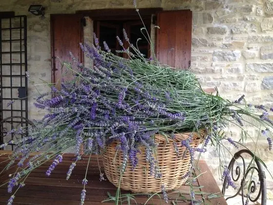 Ev, Birden Çok Yatak