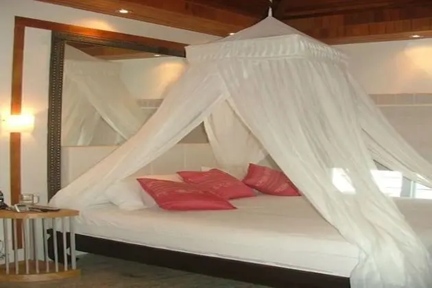 5-Bedroom  (Not Incl.Electricity)