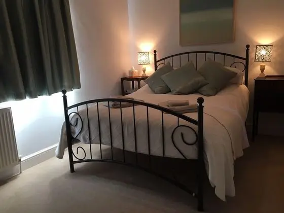 Tek Büyük Yataklı Oda, Banyolu/Duşlu (Blue Room)