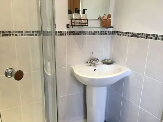 Tek Büyük Yataklı Oda, Banyolu/Duşlu (Blue Room)