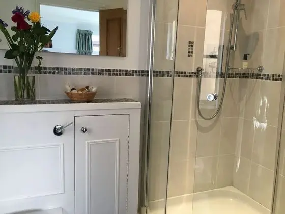 Tek Büyük Yataklı Oda, Banyolu/Duşlu (Blue Room)