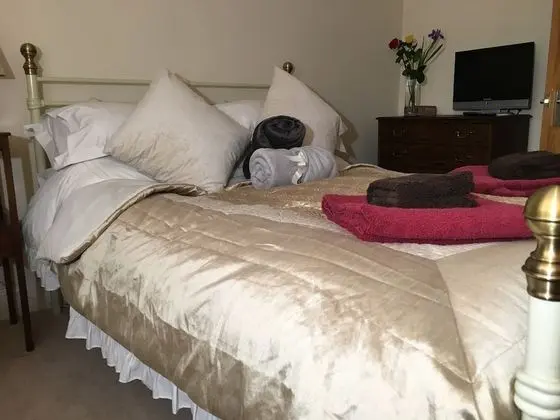 Tek Büyük Yataklı Oda, Özel Banyo (Salmon Room)