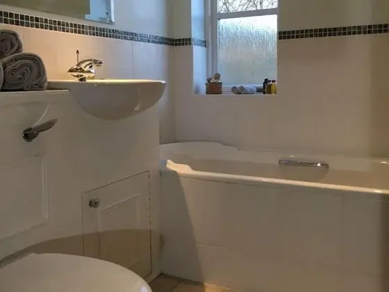 Tek Büyük Yataklı Oda, Özel Banyo (Salmon Room)
