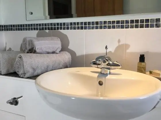 Tek Büyük Yataklı Oda, Özel Banyo (Salmon Room)