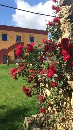 Oda, 1 Yatak Odası, Sigara İçilebilir, Balkon
