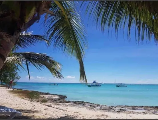 Daire, 3 Yatak Odası, Engellilere Uygun, Sigara İçilebilir