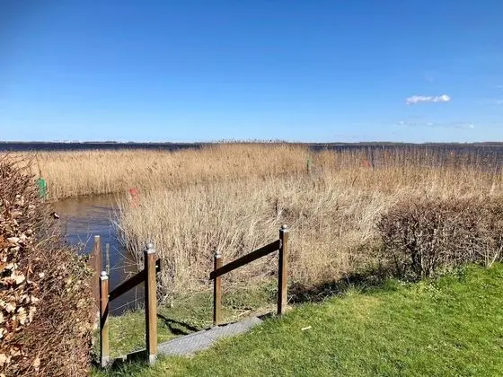 Bungalov, 3 Yatak Odası, Şömine