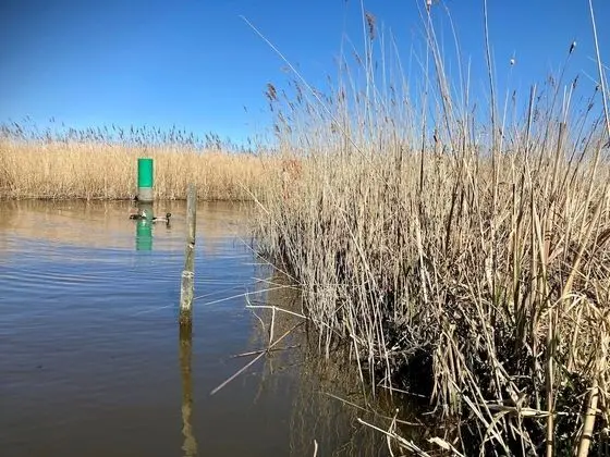 Bungalov, 3 Yatak Odası, Şömine