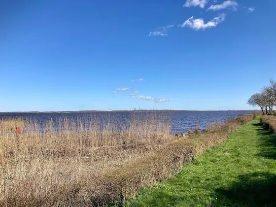 Bungalov, 3 Yatak Odası, Şömine