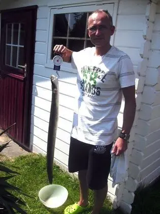 Bungalov, 3 Yatak Odası, Teras