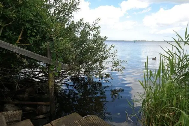 Bungalov, 3 Yatak Odası, Teras