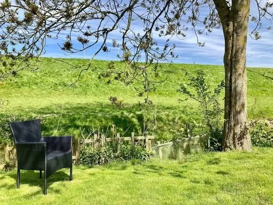 Bungalov, 3 Yatak Odası, Teras