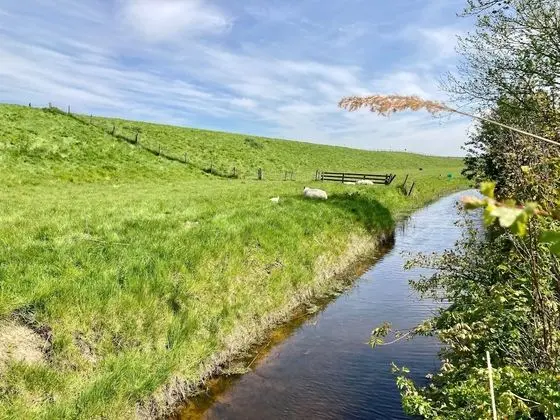 Bungalov, 3 Yatak Odası, Teras
