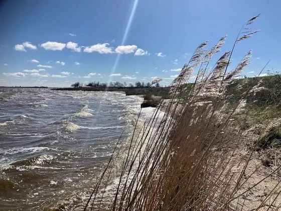 Bungalov, 3 Yatak Odası, Teras