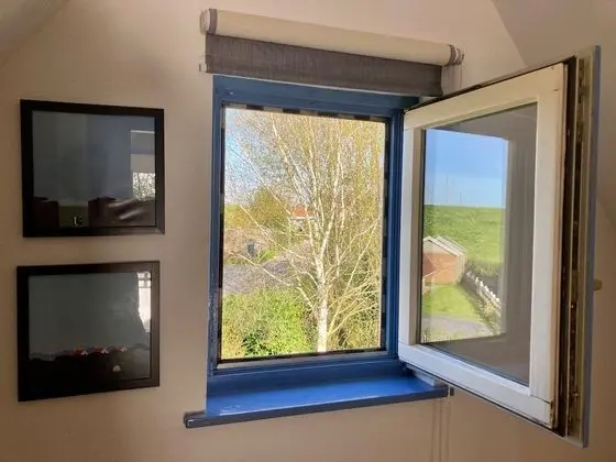 Bungalov, 3 Yatak Odası, Teras