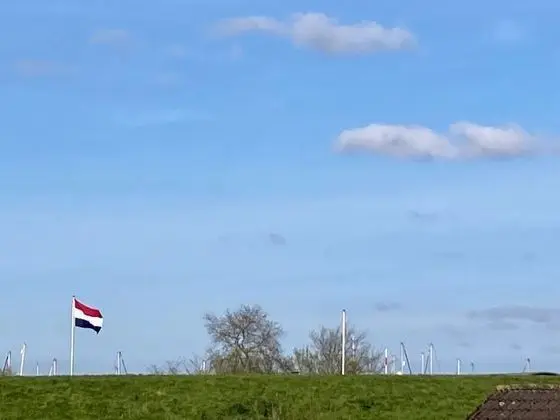 Bungalov, 3 Yatak Odası, Teras