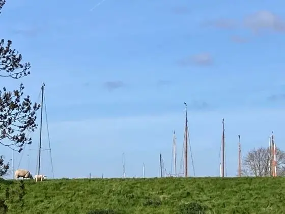 Bungalov, 3 Yatak Odası, Teras