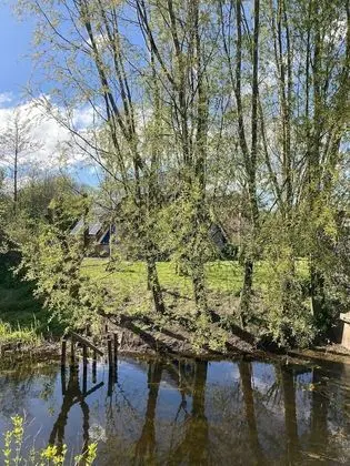 Bungalov, 3 Yatak Odası, Teras