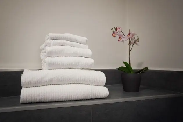 Deluxe Oda, Özel Banyo, Şehir Manzaralı