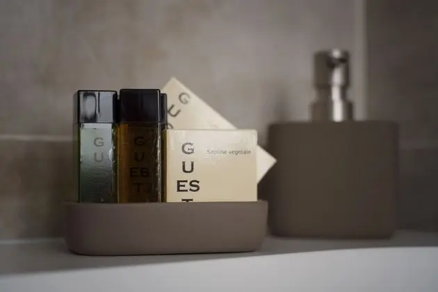 Luxury Oda, 1 En Büyük (King) Boy Yatak ve Çekyat, Özel Banyo, Şehir Manzaralı