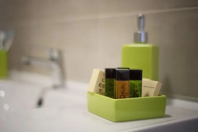 Superior Oda, 1 En Büyük (King) Boy Yatak, Özel Banyo, Şehir Manzaralı