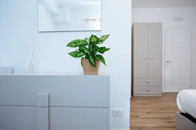 Tek Büyük Yataklı Oda, 1 Çift Kişilik Yatak ve Çekyat