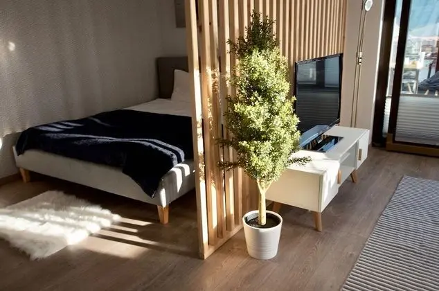 Gallery Çatı Katı Süiti (Penthouse), 1 Büyük (Queen) Boy Yatak ve Çekyat, Şehir Manzaralı