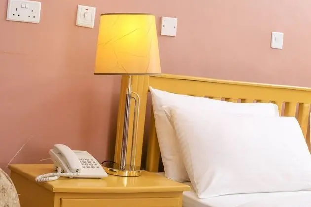 Deluxe Tek Kişilik Oda, Sigara İçilmez, Şehir Manzaralı